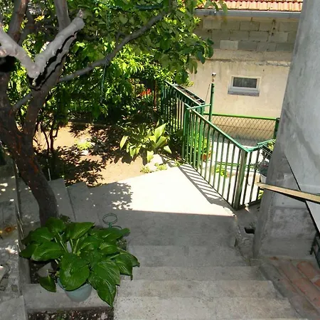 Green Garden سبليت