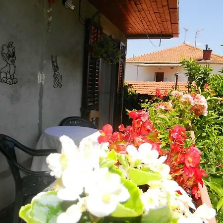 Green Garden
